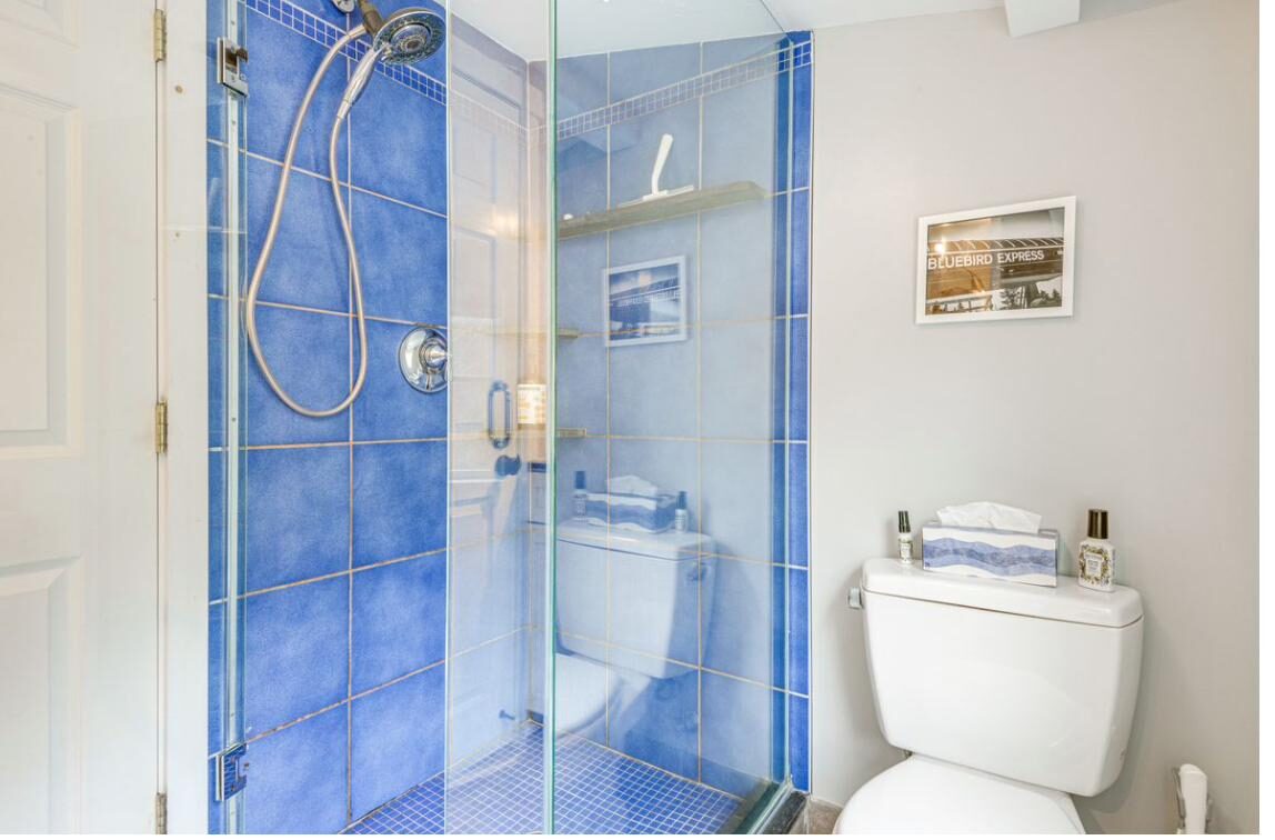 Bathroom with walk-in glass shower