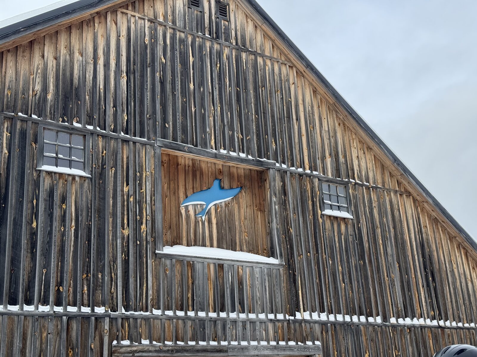 A blue bird cutout on a weathered wooden barn at Mount Snow