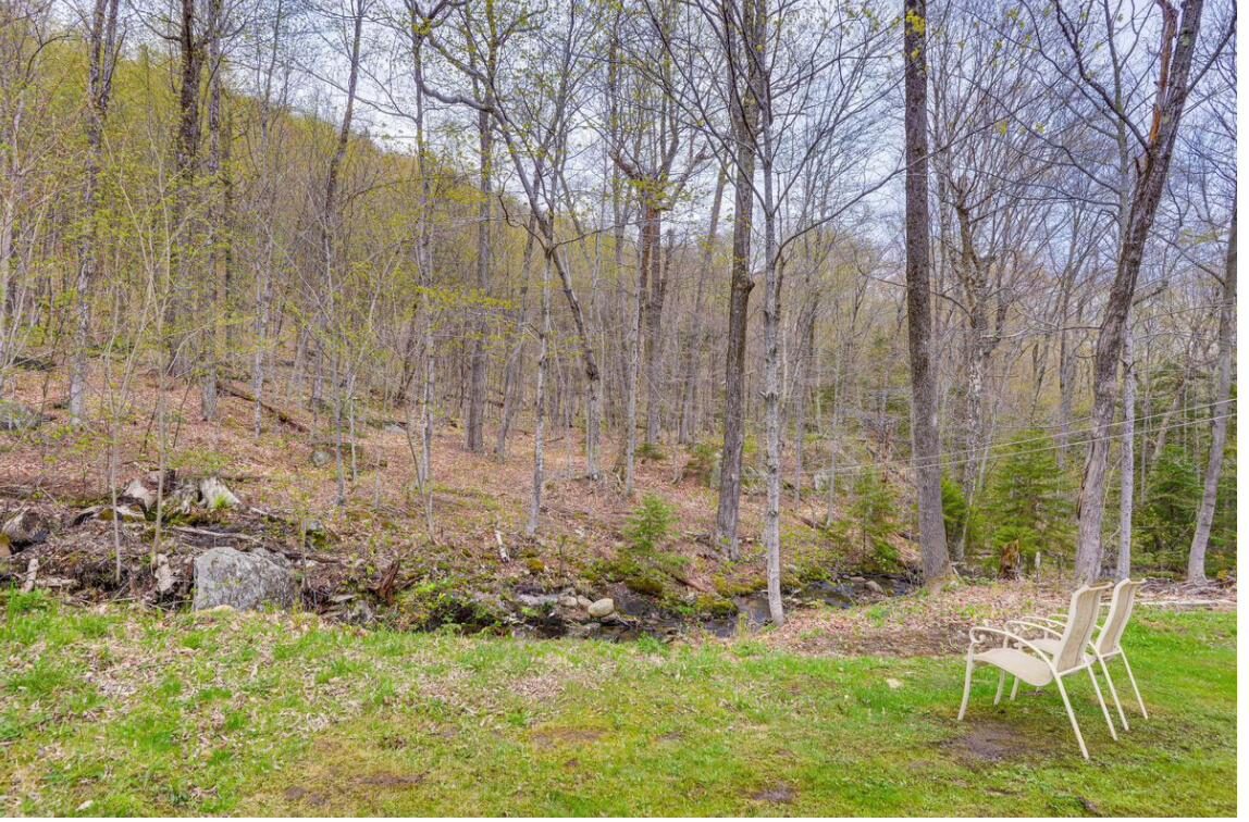 The wooded hillside surrounding Bluebird Cottage